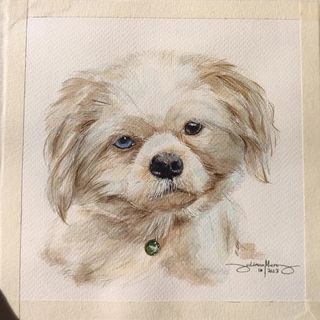 Pet portrait watercolor painting (Commissioned art)