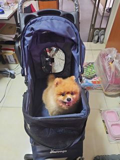 (Category: ) located in . Submitted by toto_mimi (Listing ID 1283710501, Image 1). Description: .