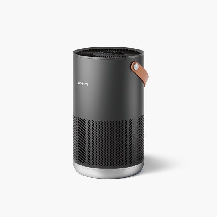 Mi air clearance purifier homekit