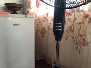 (Category: ) located in . Submitted by jtantk (Listing ID 1283639617, Image 1). Description: .