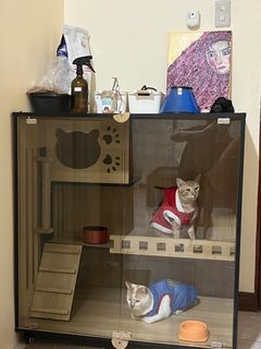 Wooden Cat Condo with Glass Doors  (cats not included)