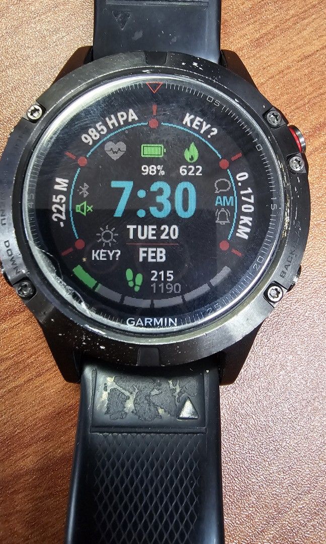 Garmin Fenix 5 Sapphire