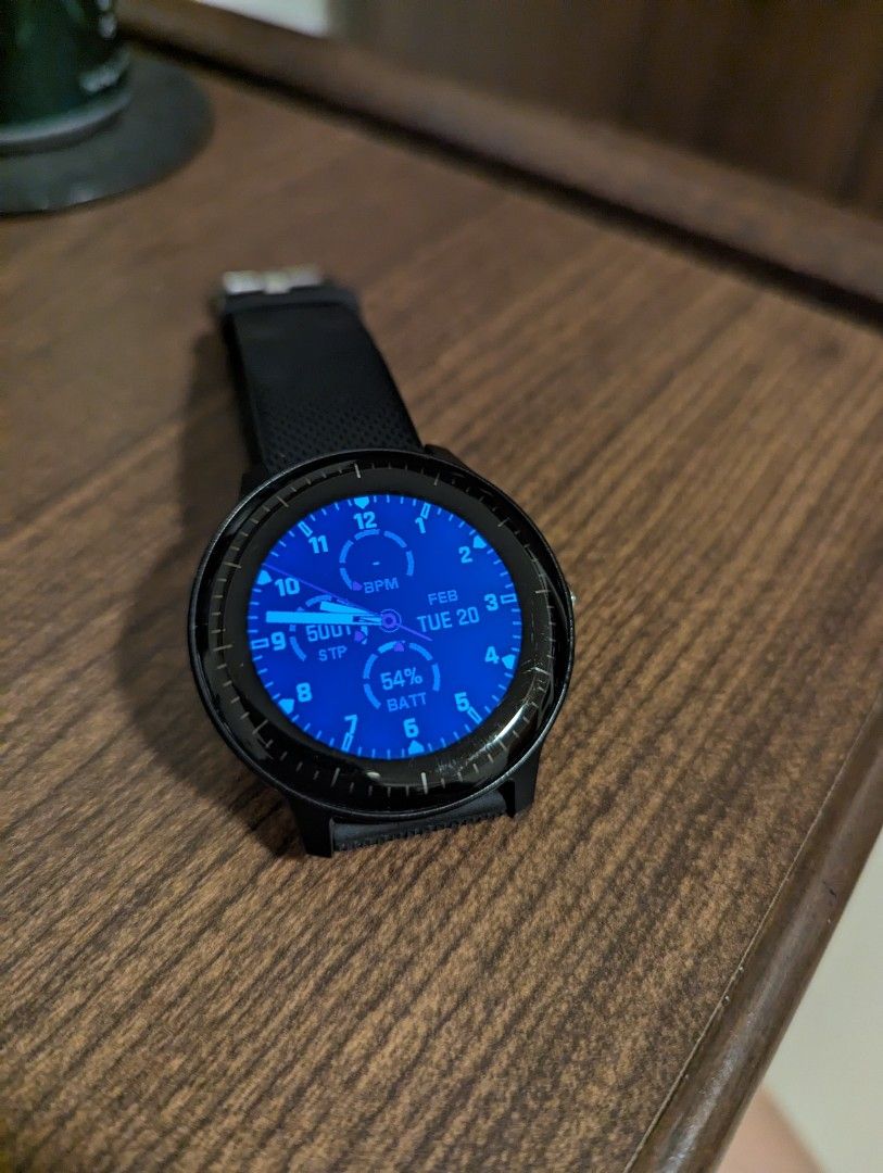 Garmin vivoactive discount 3 music pay
