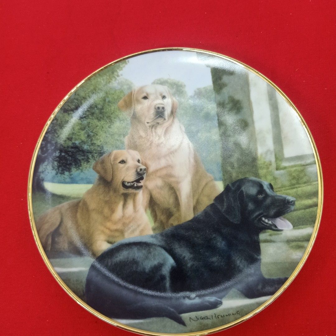 Golden retriever collector plates clearance