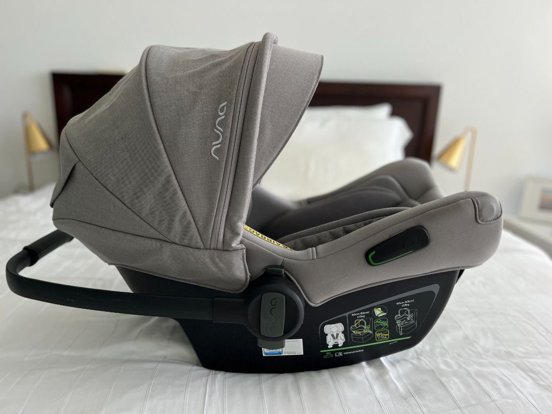 Nuna pipa hotsell car seat frost