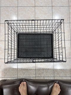 (Category: ) located in . Submitted by trst.t.eltsel (Listing ID 1288483387, Image 1). Description: .