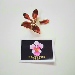 Singapore Orchid Brooch
