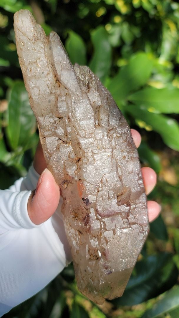 馬達加斯加雙面多尖草莓晶雲母鱷魚水晶骨幹水晶扁平水晶#328g #MGE0200