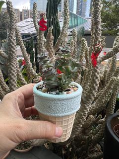 （分類：）位於 。 由 florlaw 提交（商品編號 1288490154，圖片 1）。簡介： 。