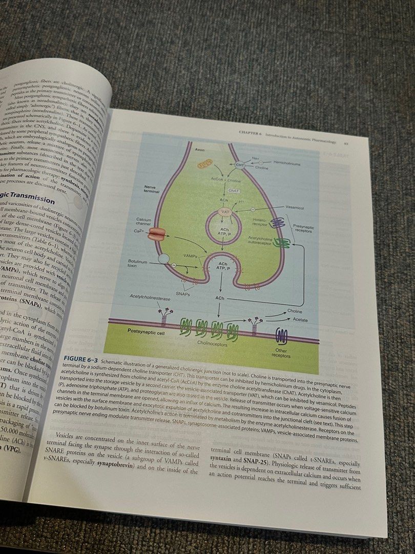 Basic & Clinical Pharmacology by Katzung (Category: Textbooks) located in Davao. Submitted by cee.davao (Listing ID 1288592118, Image 2). Description: ORIGINAL may sulat pero maliit lang talaga swear may bakas na sa passed sa pcol subject! hehe.