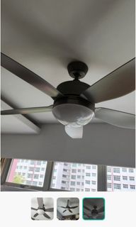 (Category: ) located in . Submitted by kaybye0000 (Listing ID 1288636147, Image 1). Description: .