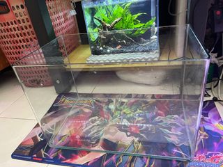 (Category: ) located in . Submitted by robin65 (Listing ID 1288539123, Image 1). Description: .