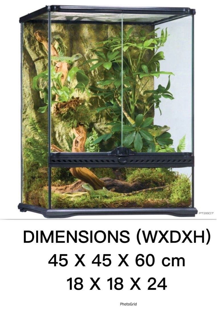 EXO TERRA TALL TERRARIUM MINI PT2602 SMALL PT2607 MEDIUM PT2612 LARGE PT2614 PT2613 90 380 With or without delivery Pet Supplies Homes Other Pet Accessories on Carousell