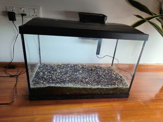 (Category: ) located in . Submitted by djolent (Listing ID 1288586821, Image 1). Description: .