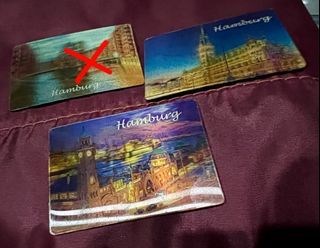 Hamburg 3d ref magnet