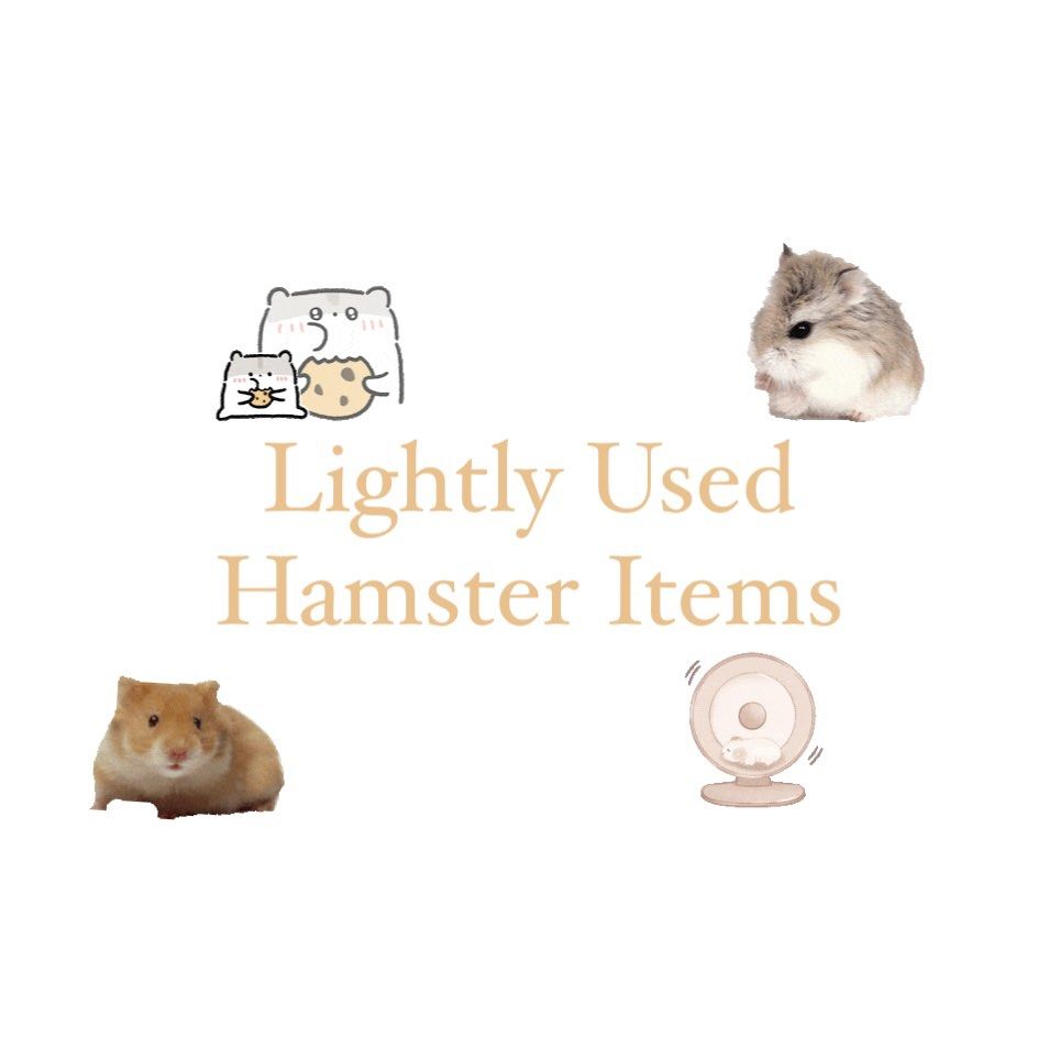 Hamster Accessories Wheel Carrier Bowl Hideout Water Bottle Pet Supplies Homes Other Pet Accessories on Carousell