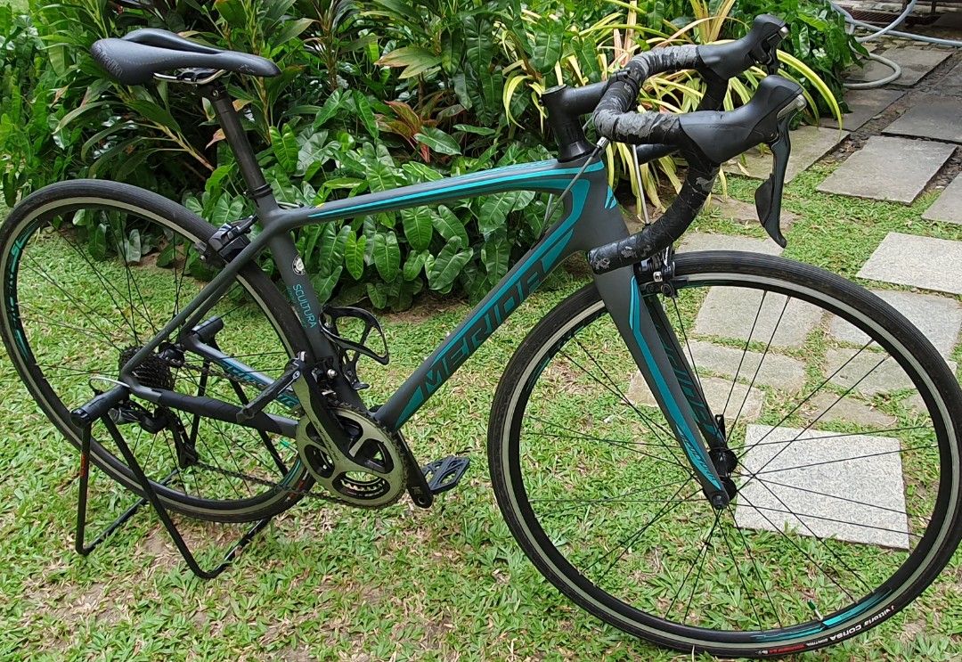 Scultura disc 4000 juliet hotsell
