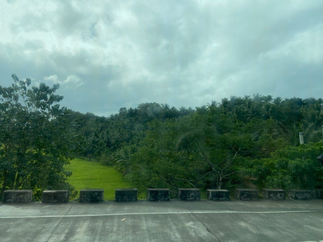 Raw lands in Balayan, Batangas For Sale (Category: Lot) located in Manila. Submitted by ADB.Realtor (Listing ID 1288504151, Image 2). Description: FOR SALE 53 hectares of agricultural land in Balayan, Batangas. 15 mins. Away from Waltermart. Topography is around 7 has. Flatland and the rest are hilly & elevated. Ideal for solar farm, and cattle farm. Clean title and under one TCT. Price: 300/sqm. NET of taxes. For serious inquiries and viewing re
