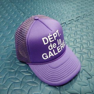 Snapback Gallery Dept Trucker Cap Net Cap Purple