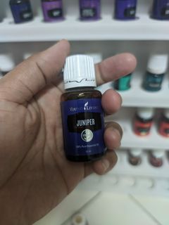 (Category: ) located in . Submitted by mayang_seri (Listing ID 1288959318, Image 1). Description: .