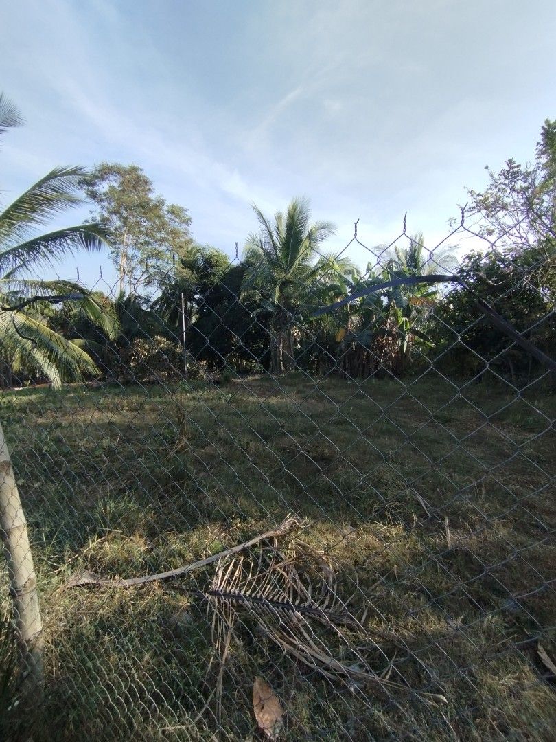 Farm Lot for Sale (Category: Lot) located in Orani. Submitted by lylaly (Listing ID 1288759821, Image 3). Description: FARM LOT FOR SALE DIRECT BUYER ONLY!🏡 ✅ Location: Gugo Samal Bataan ✅ 3,864 Sqm ✅ Php 1700/sqm ✅ TCT Titled ✅ Along National Road (tabing daan) ✅ Suitable for weekend farming, vacation house ✅ May puno ng Manga, Buko, Rambutan, Chico, Lemon, Avocado,Saging ✅With existing water and electricity service ✅May bakod na nakapalibot (c