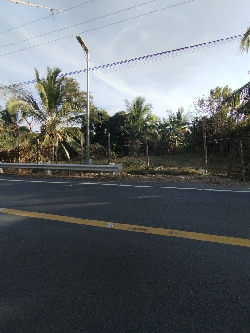 Farm Lot for Sale (Category: Lot) located in Orani. Submitted by lylaly (Listing ID 1288759821, Image 1). Description: FARM LOT FOR SALE DIRECT BUYER ONLY!🏡 ✅ Location: Gugo Samal Bataan ✅ 3,864 Sqm ✅ Php 1700/sqm ✅ TCT Titled ✅ Along National Road (tabing daan) ✅ Suitable for weekend farming, vacation house ✅ May puno ng Manga, Buko, Rambutan, Chico, Lemon, Avocado,Saging ✅With existing water and electricity service ✅May bakod na nakapalibot (c