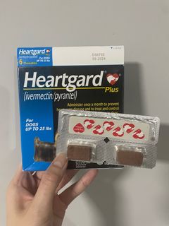（分類：）位於 。 由 yellowamm 提交（商品編號 1288870445，圖片 1）。簡介： 。