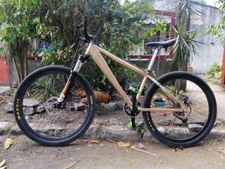 Foxter ft301+ outlet