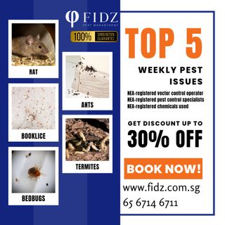 Commercial and Residential Pest Control Collection item 3