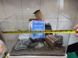 （分類：）位於 。 由 himhim0714 提交（商品編號 1288988787，圖片 1）。簡介： 。