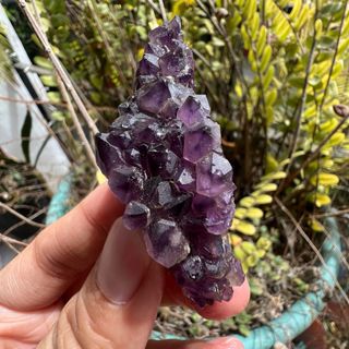(Category: ) located in . Submitted by crystalstoreph (Listing ID 1285607458, Image 1). Description: .