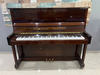 Casio dp130 deals