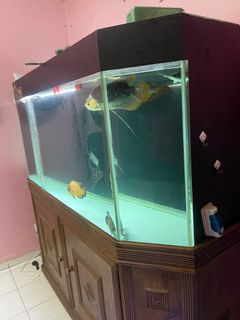 (Category: ) located in . Submitted by varma22 (Listing ID 1289227198, Image 1). Description: .