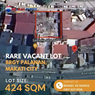 FOR SALE: PRIME LOT IN BRGY PALANAN, MAKATI CITY