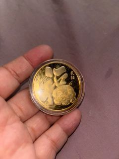 Gold coin pig with enclosure