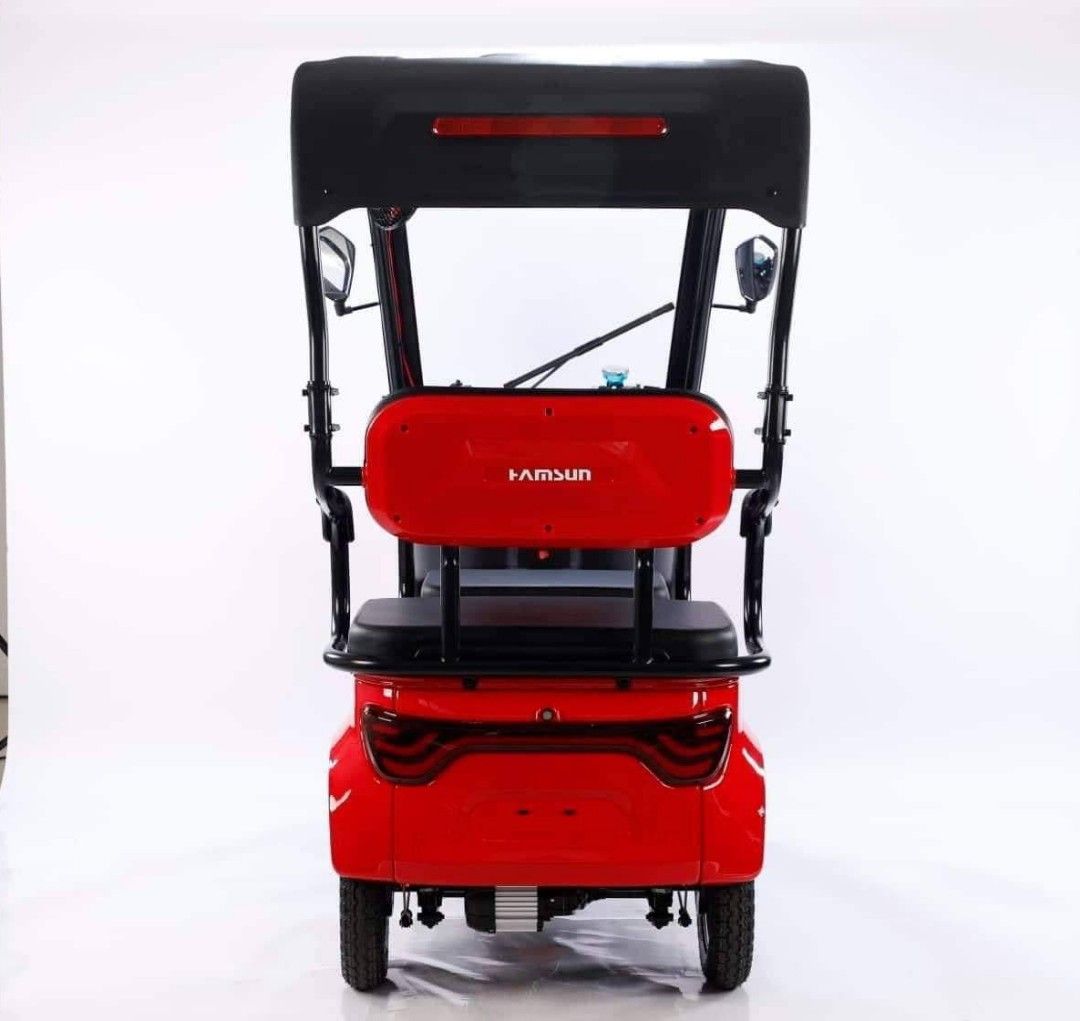 Hamsun ebike cheap