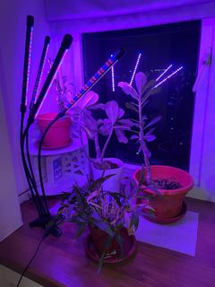 (Category: ) located in . Submitted by tianzz (Listing ID 1289120902, Image 1). Description: .