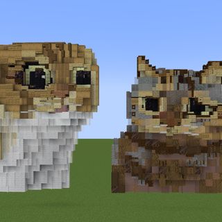 (Category: ) located in . Submitted by tcgguy (Listing ID 1289041510, Image 1). Description: .
