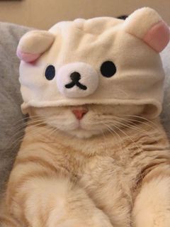 (Category: ) located in . Submitted by donutsarecool (Listing ID 1289102729, Image 1). Description: .