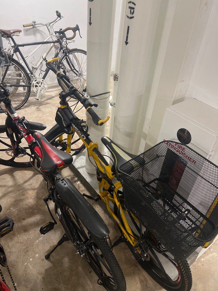 Used 24 bikes for deals sale