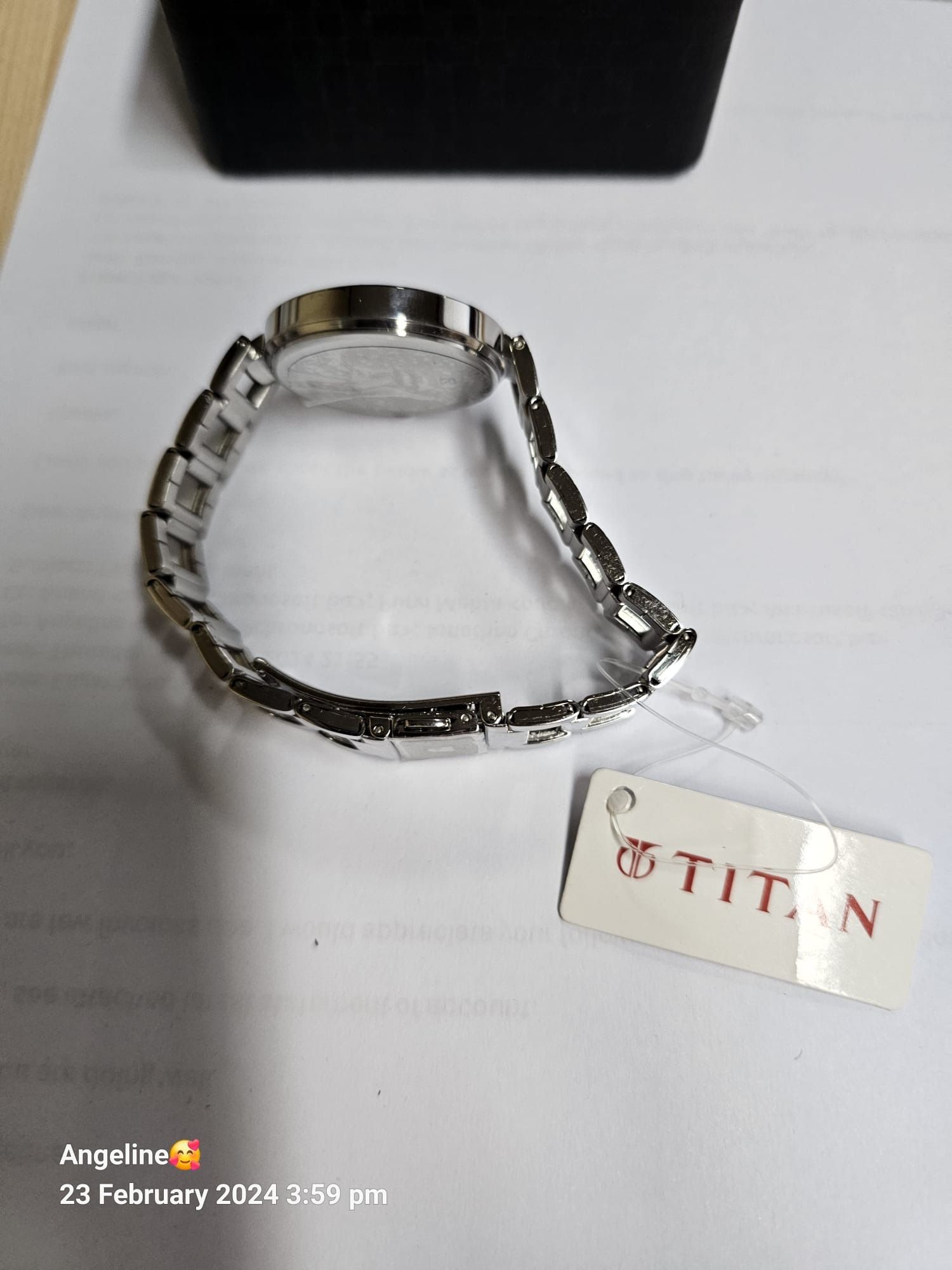 TITAN LADIES WATCH 2480SM03