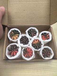 （分類：）位於 。 由 topher47 提交（商品編號 1289314373，圖片 1）。簡介： 。