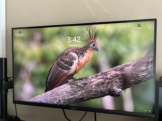 (Category: ) located in . Submitted by lucypeng (Listing ID 1289235336, Image 1). Description: .