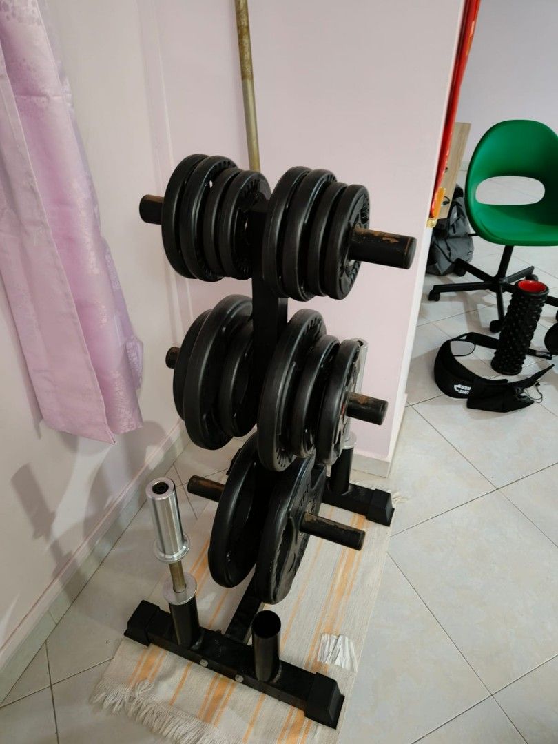 Home gym dambal clearance