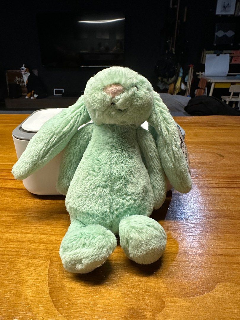 Jellycat bashful mint bunny deals
