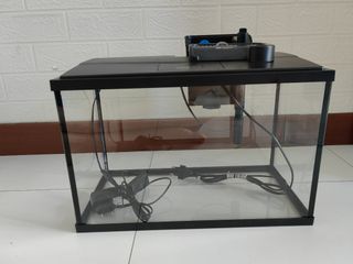 (Category: ) located in . Submitted by nwtancs (Listing ID 1289255872, Image 1). Description: .