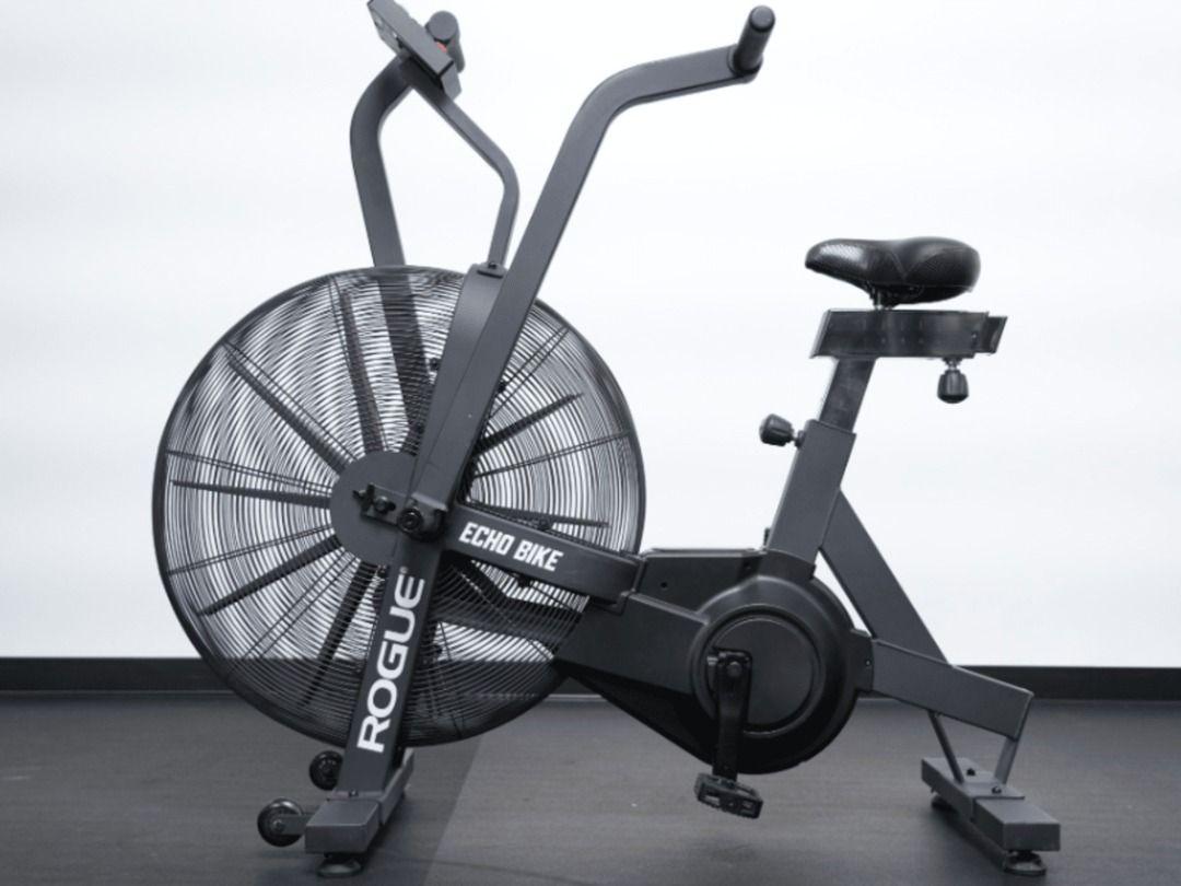Echo rogue bike for sale on sale