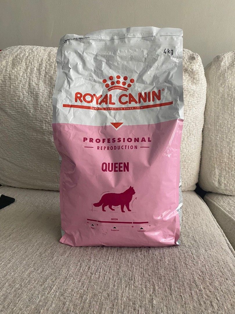 Royal canin queen hotsell
