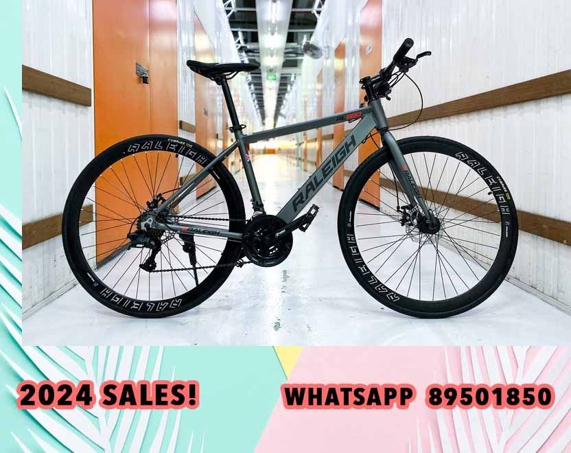 Raleigh speed best sale bike