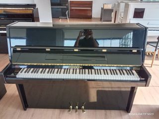 Casio dp130 top